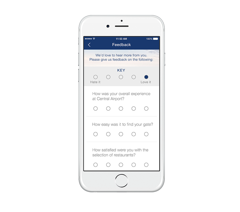 airport-feature-survey airport-feature-survey